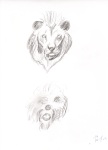 Sketch of animals 2009